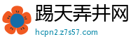 踢天弄井网